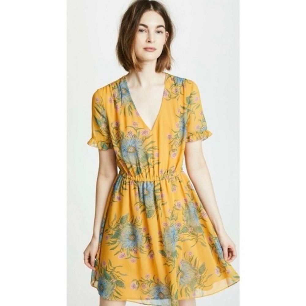 Madewell Sweetgrass Ruffle Sleeve Dress in Painted Blooms Size‎ 2